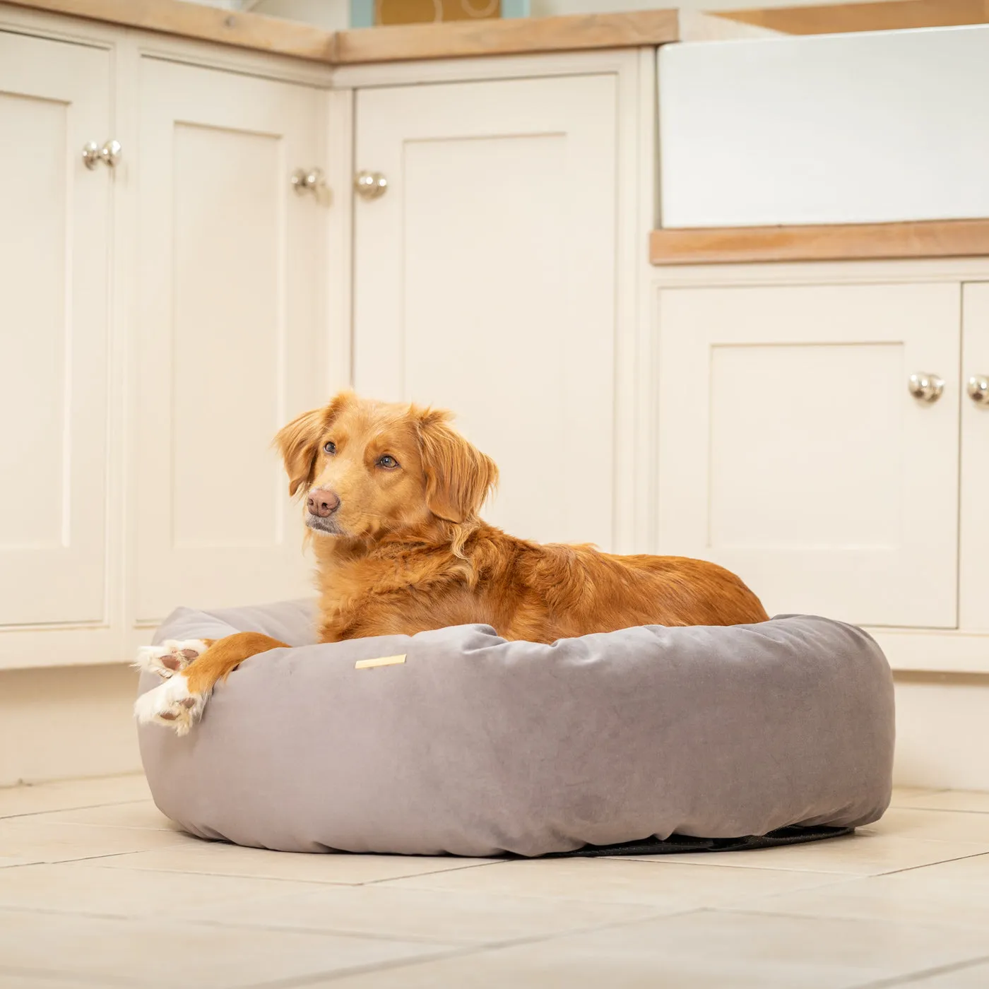 Donut Bed in Silt Velvet By Lords & Labradors